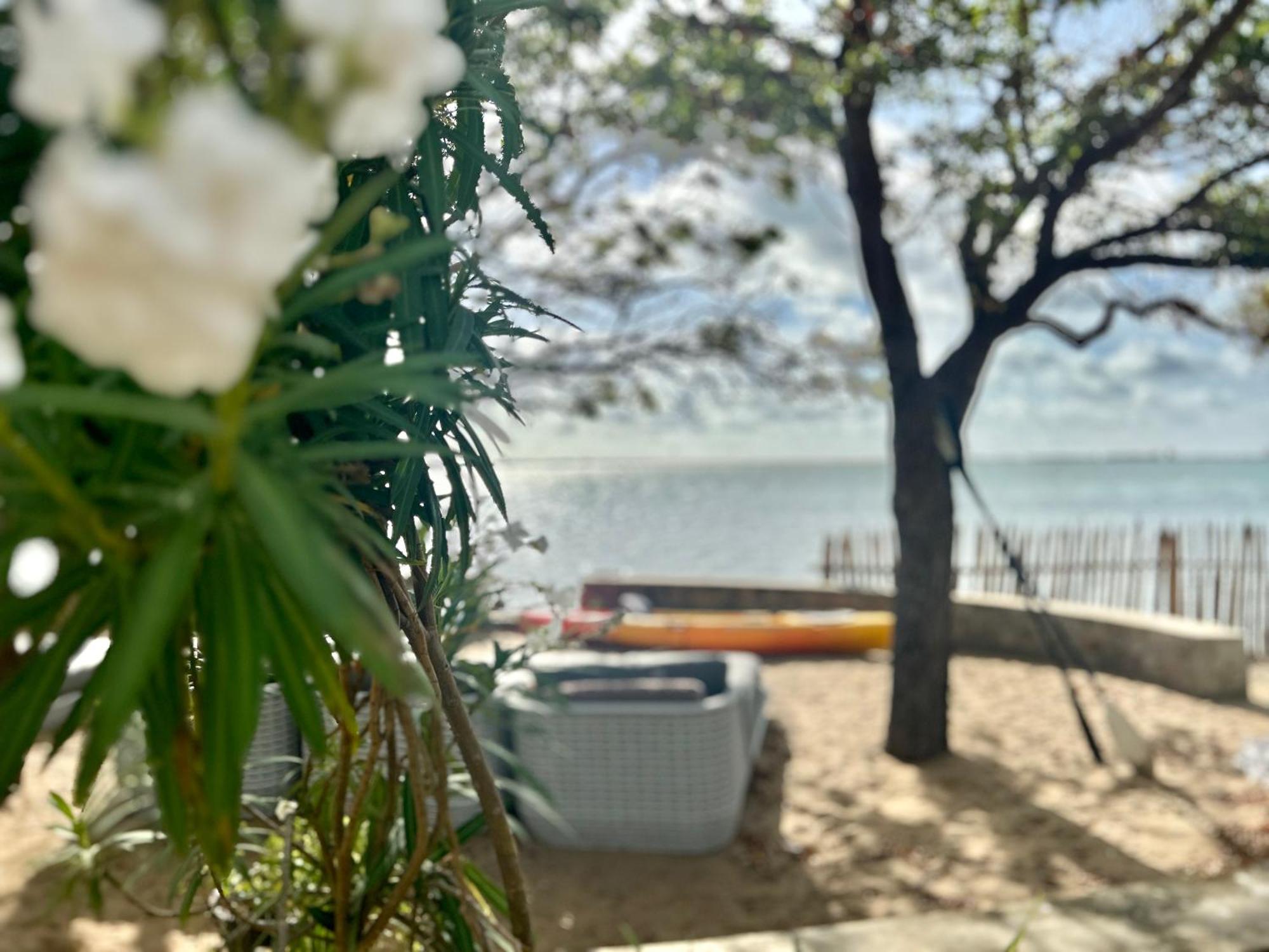 Arasi Resort Kalpitiya Bagian luar foto