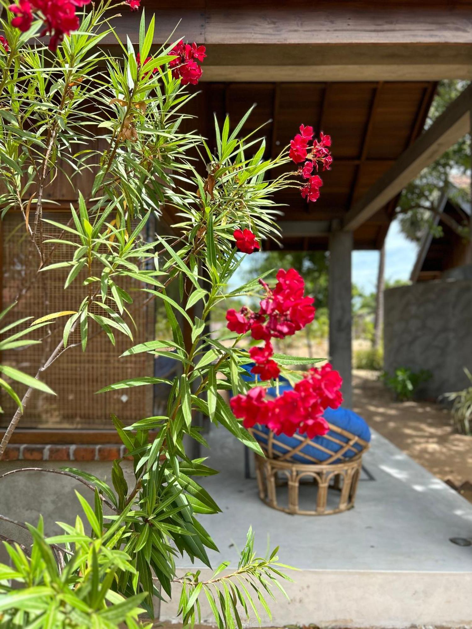 Arasi Resort Kalpitiya Bagian luar foto
